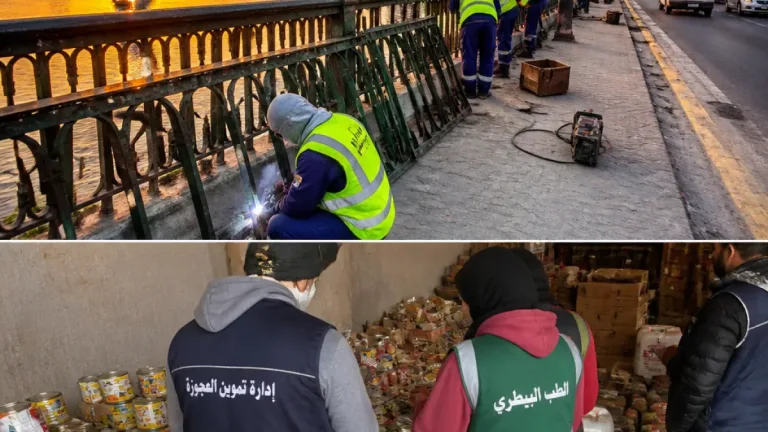 محافظ الجيزة يتابع إصلاح أسوار كوبرى فيصل ويشدد على استمرار الحملات التموينية والبيطرية