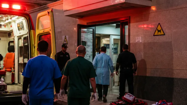 مصرع طفل بعقر كلب مسعور في قرية بأملاك الدلنجات والنيابة تباشر التحقيق