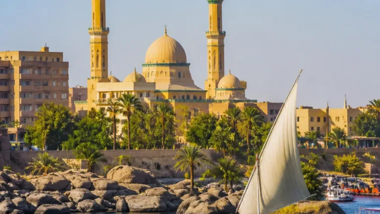 محافظ سوهاج يتدخل فورًا لإنقاذ طفل من دار السلام ويكلف الصحة بإعداد تقرير طبي شامل