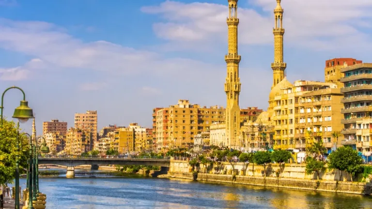 القبض على أم بطنطا بعد تداول فيديو لطفلة مبتورة الساق وأخرى رضيع تعرضا للاستغلال بالتسول