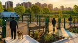Alcorcón avanza con cuatro nuevas áreas caninas y la renovación de más de 13.000 m²