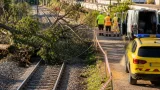 Corte de la línea R4 deja a Manresa sin tren entre Calaf y la ciudad tras caer un árbol
