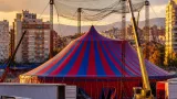 El Cirque du Soleil instala su carpa en L'Hospitalet de Llobregat para estrenar 'KURIOS'
