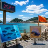 El Cantábrico registra temperaturas históricas y cambia su fauna: avanza la «mediterranización»