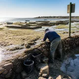 Pescadores de Rota mantienen un arte ancestral y afrontan la amenaza del alga asiática