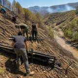 Expertos piden priorizar la contención de la erosión y evaluar daños antes de replantar tras los incendios