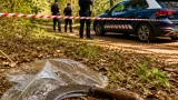 Mossos buscan al autor de una violación en Vidreres, Girona, ocurrida en una zona forestal