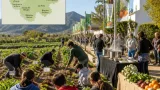 Murcia celebra la XI Semana de la Huerta en 13 pedanías y cinco colegios del 3 al 11 de octubre