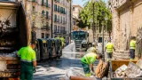 Palma retira más de 21 toneladas de residuos en una nueva fase del programa ‘Palma a Punt’