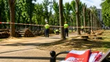 Polémica por la tala en La Alameda sacude a Talavera de la Reina y enfrenta a PSOE y concejal