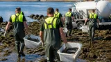 Pontevedra: rescatan y reubican cientos de peces del río Gafos para evitar una mortandad