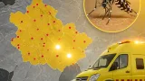 Sevilla suma dos nuevos casos del virus del Nilo y Andalucía alcanza 51 afectados en 2026
