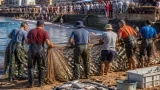 Telde recupera la tradición de la pesca del chinchorro en Melenara durante las fiestas
