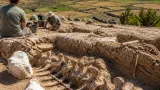 Teruel confirma el primer Diplodocus fuera de Norteamérica y amplía la paleogeografía del Jurásico