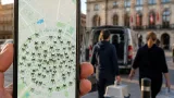 Vitoria impulsa una app para gestionar las 102 colonias felinas localizadas en la ciudad