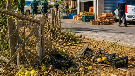 Badajoz: investigados cinco vecinos por sustraer y vender 1.500 kg de fruta