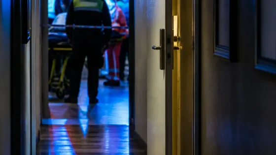 Detenido en Bormujos un joven por la muerte de una mujer en un hotel de Sevilla