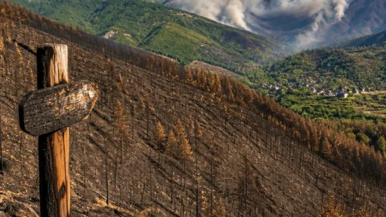León recuerda el impacto de los grandes incendios de 2025 mientras persiste la inquietud