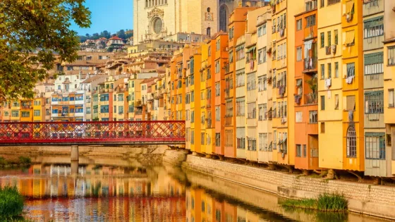 Teresa Jordà encabezará la lista de ERC por Girona para las elecciones del 29N