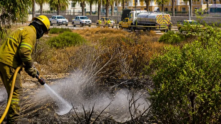 IU denuncia en Algeciras el «fracaso» de la campaña municipal contra incendios
