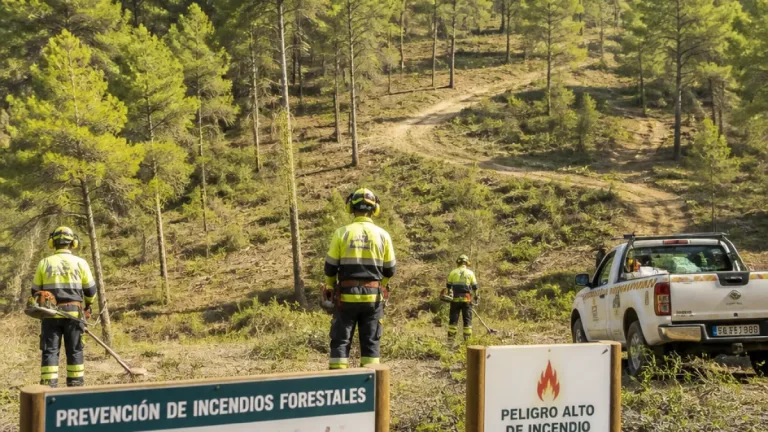 Torrent refuerza la prevención de incendios con 30 trabajadores y mantiene brigada forestal permanente