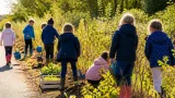À Bernières‑sur‑Mer, des écoliers vont planter 50 m de haies pour restaurer le bocage