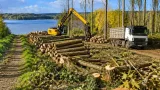 À Jugon‑les‑Lacs, la peupleraie de l’Arguenon : 900 arbres abattus, la collectivité annonce une concertation