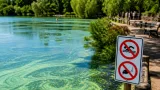 À Massy, le lac de la Blanchette de nouveau envahi par des cyanobactéries, riverains excédés