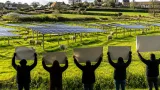 Agrivoltaïsme à Quettreville‑sur‑Sienne : un projet de 61 ha contesté par Les Soulèvements de la Terre