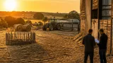 Après un été « critique », les agriculteurs de Mayenne attendent les aides nationales le 3 septembre