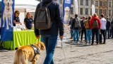 Arras : journées de sensibilisation aux chiens guides pour mieux accompagner les personnes malvoyantes