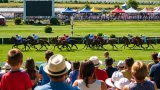 Aurillac : l'hippodrome clôture sa saison dimanche avec animations et huit courses