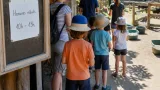 Canicule en Seine‑et‑Marne : la ferme pédagogique du Bois Fleuri réduit ses horaires pour préserver visiteurs et animaux