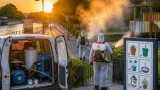 Chikungunya et virus West Nile : premiers cas autochtones signalés, vigilance dans le Val‑de‑Marne