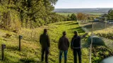 Dans le Doubs, une expérimentation scientifique met la régulation du renard sous observation