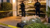 Découverte d’une culture de cannabis à Beauvoir‑sur‑Mer après l’alerte d’une odeur suspecte