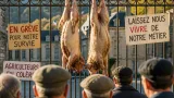 Des éleveurs accrochent deux brebis mortes à la préfecture de Mende pour dénoncer des attaques de loups