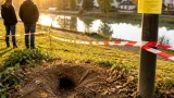 Deux adultes et deux renardeaux abattus sous ordre préfectoral : la polémique enfle dans le Val‑de‑Marne
