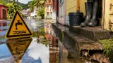 Deux décès dus à la leptospirose en 2025 en Martinique : vigilance et prévention recommandées