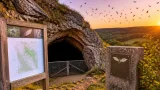 Deux nouvelles réserves naturelles régionales renforcent la protection des milieux souterrains en Côte-d’Or