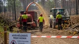 En Gironde, la préfecture autorise les travaux forestiers dans les zones incendiées sous conditions strictes