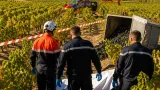 Entrechaux : un homme d’environ 25 ans écrasé par une benne à vendange, héliporté vers Marseille