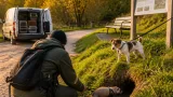 Gennevilliers mobilise furets et chiens ratiers pour éradiquer les rats des parcs