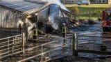 Incendie à Argentonnay : un bâtiment agricole détruit, 150 ovins et caprins périssent