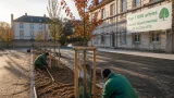 La Côte‑d'Or mobilise 14,5 M€ pour rénover les collèges et verdir les cours à la rentrée
