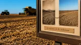 La sécheresse de 1976 revisitée en Sarthe, cinquante ans après un été « que je n’ai jamais vu »