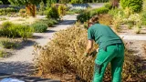 Le jardin botanique de Villers-lès-Nancy marque des pertes après un été de sécheresse répétée
