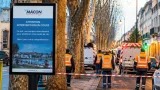 Mâcon : la Ville intervient mardi soir contre le « tigre du platane », mobilisation et calendrier d'été