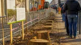 Melun : 93 tilleuls abattus sur l’avenue Thiers, réactions et enjeux autour du Tzen 2