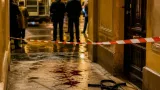 Metz : un malinois poignardé à neuf reprises, trois personnes en garde à vue